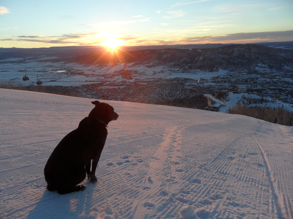 Click to sign up for free weather forecasts for Steamboat Springs!