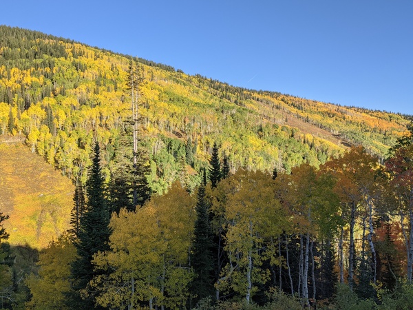Click to sign up for free weather forecasts for Steamboat Springs!