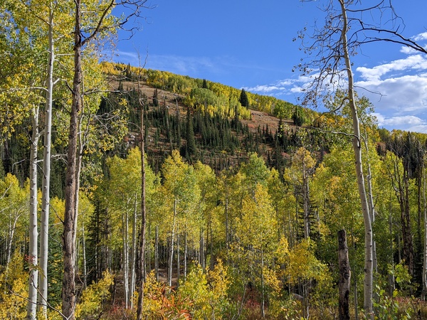 Click to sign up for free weather forecasts for Steamboat Springs!