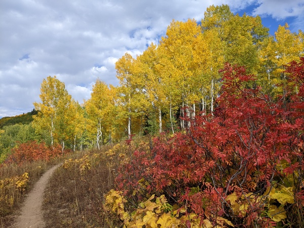 Click to sign up for free weather forecasts for Steamboat Springs!