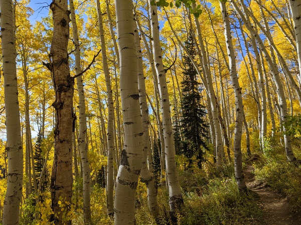 Click to sign up for free weather forecasts for Steamboat Springs!