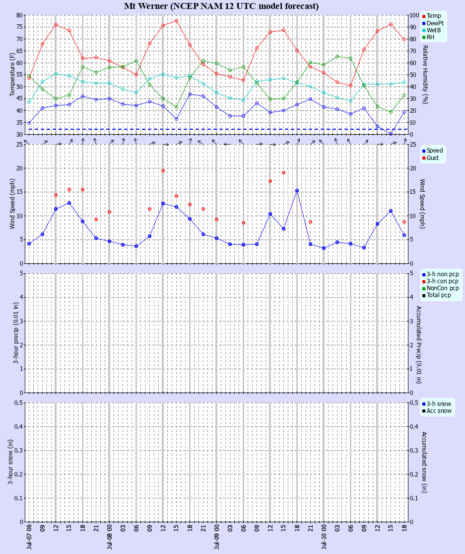 Latest NAM forecast