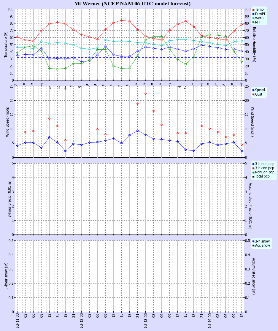 Latest NAM forecast